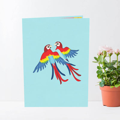 Cover of Scarlet Macaw pop up card