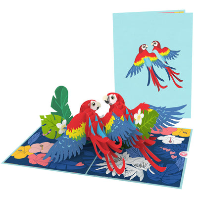 img src="Scarlet-macaw-pop-up-card.jpg" alt="Scarlet Macaws Pop Up Card"