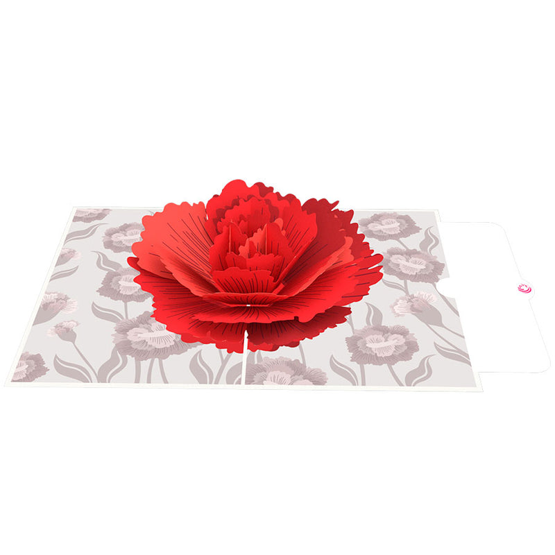 img src="Carnation-flower-pop-up-card-note.jpg" alt="Carnation flower pop up card"