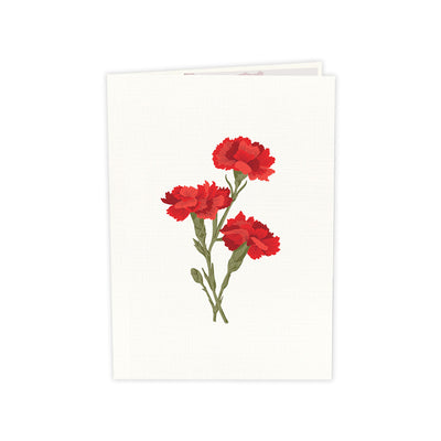 img src="Carnation-flower-pop-up-card-outside.jpg" alt="Outside Carnation flower pop up card"