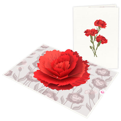 Unipop Carnation Flower pop up card