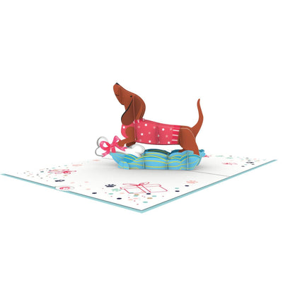 Dachshund Dog Pop Up Card