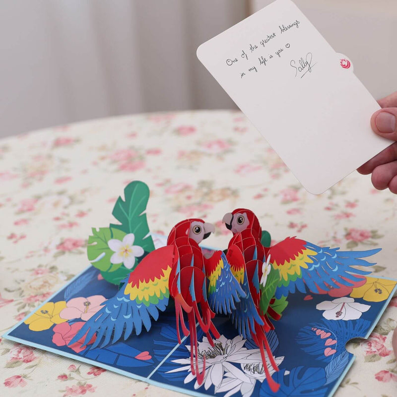 Scarlet Macaw pop up card with notecard