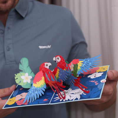 Scarlet Macaw pop up greeting card