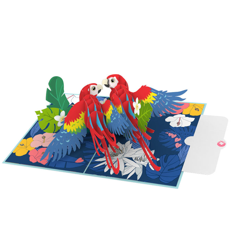 img src="Scarlet-macaw-pop-up-card-note.jpg" alt="Scarlet Macaws Pop Up Card"