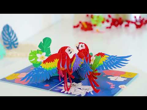Scarlet Macaw Pop Up Card