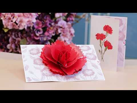 Carnation Flower Pop up Card